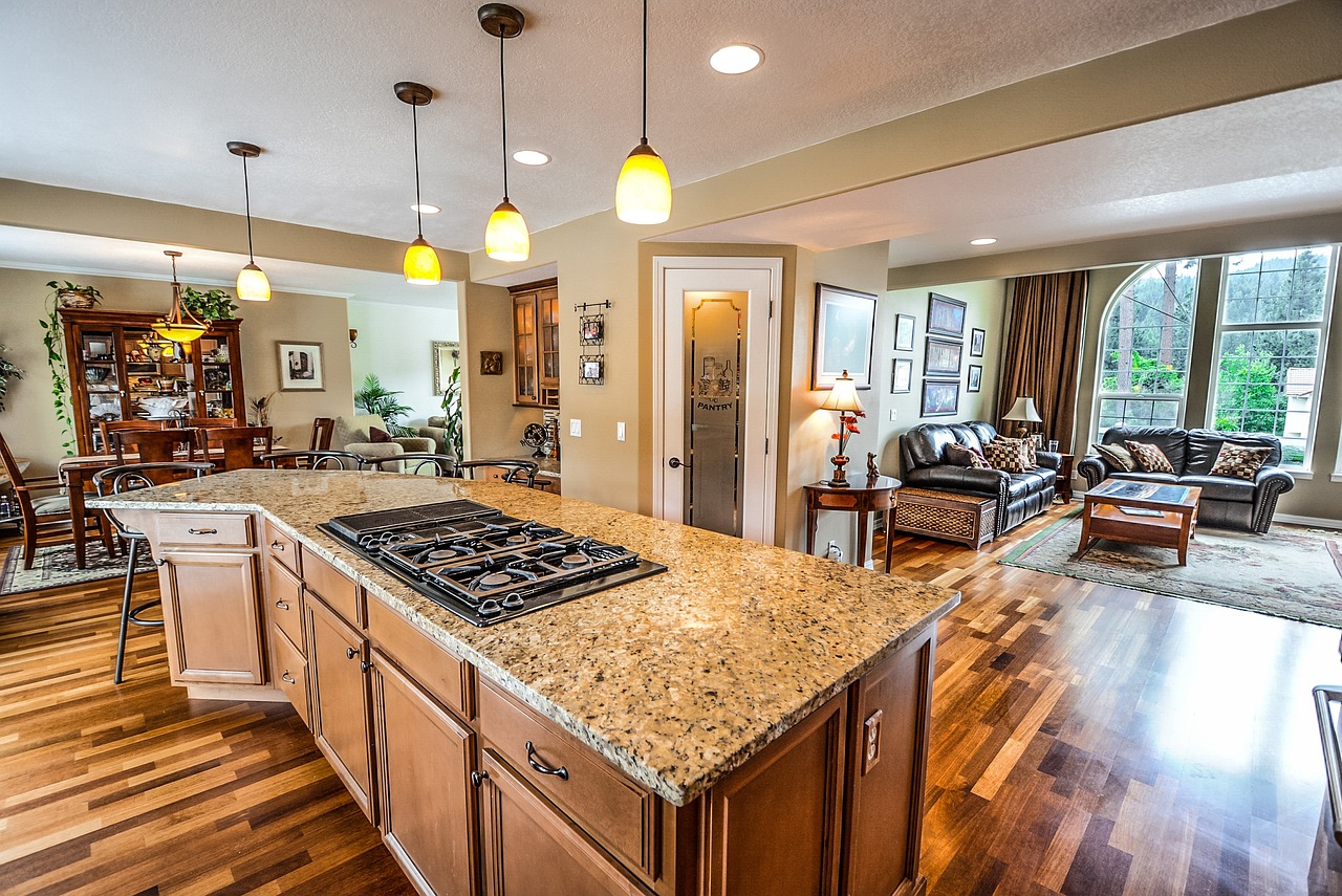 Open Concept Tiny Home
